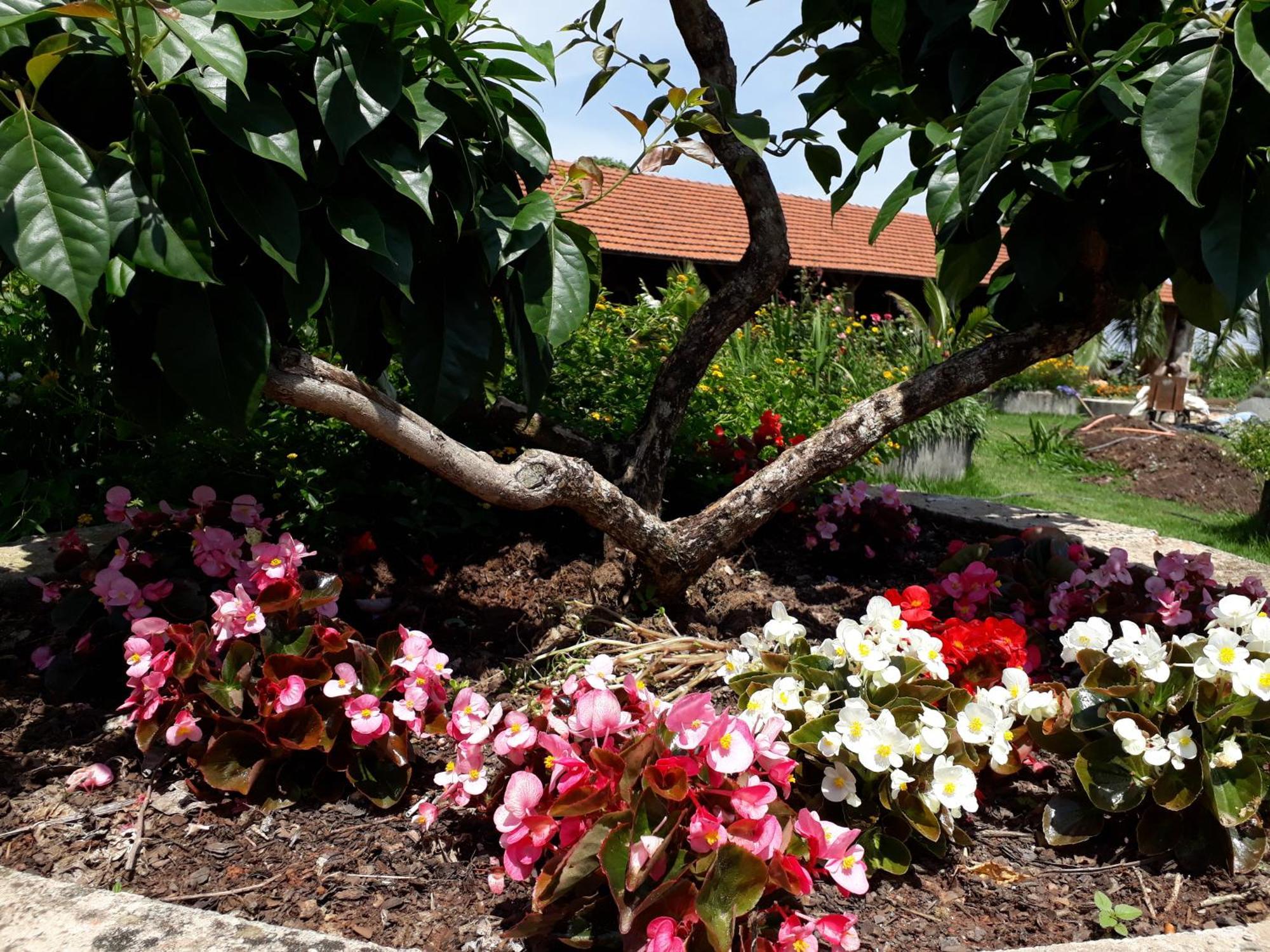 Parque Paraiso Das Flores โอลัมบรา ภายนอก รูปภาพ